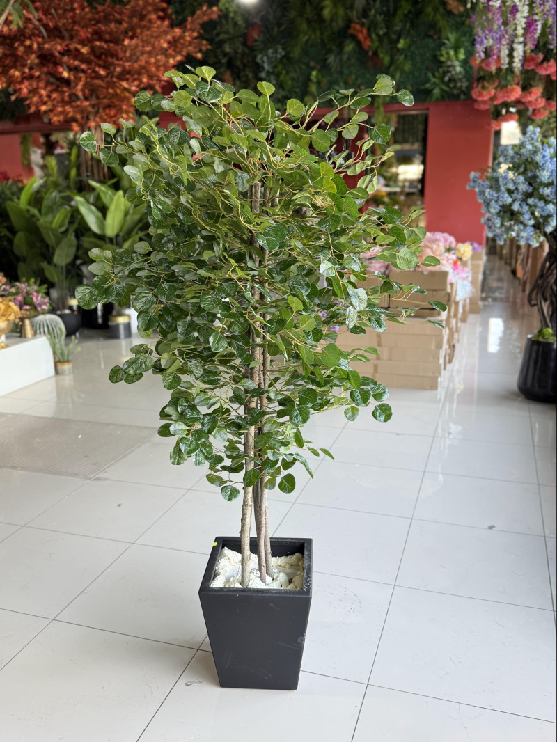 BTY-124 Çinpara Yapay Ağaç – 185 cm