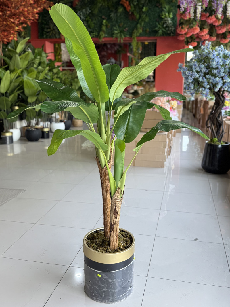 YNC-328 İki Gövdeli Yapay Muz Ağacı – 180 cm