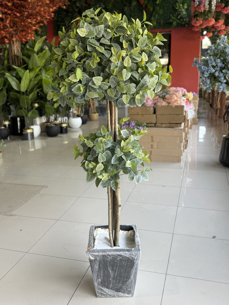 YNC-279 Fittonia Yapay Ağaç | 190 cm