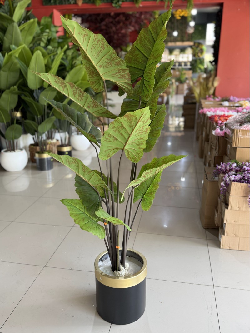 YNC-048 Alocasia Yapay Ağaç – 165 cm | Tropikal ve Modern Görünümlü Dekoratif Bitki