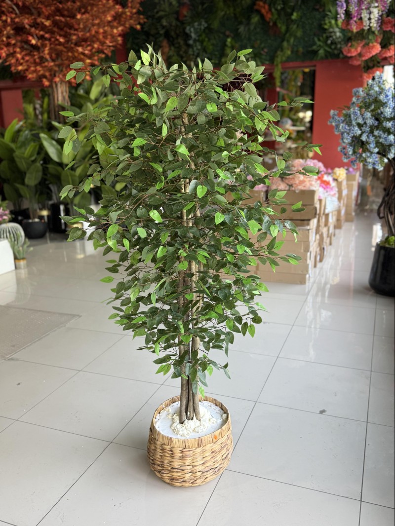 YNC-368 Ficus Yapay Ağaç – 180 cm | Yoğun Yapraklarıyla Ferah ve Doğal Dekorasyon