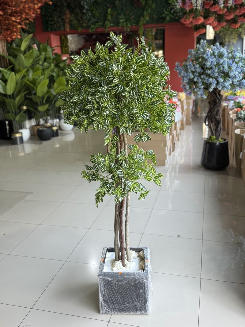 YNC-290 Yapay Ağaç – 190 cm | Doğal Görünümlü ve Şık Dekoratif Bitki