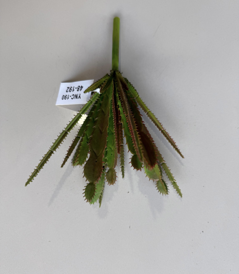 YNC-190 – Mini Kaktüs Demet (15 cm)