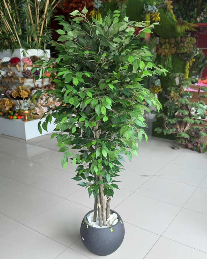 DD236213A Ficus Yaprak Yapay Ağaç