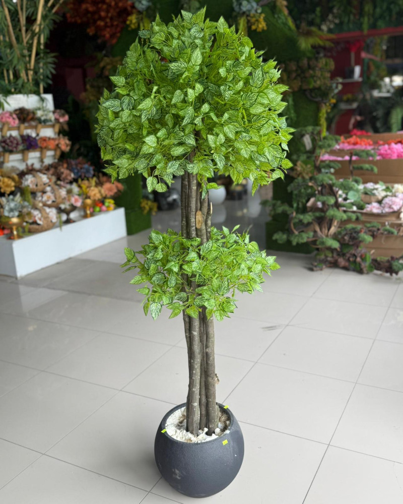 Ync-291 Pitonya yapay ağaç 