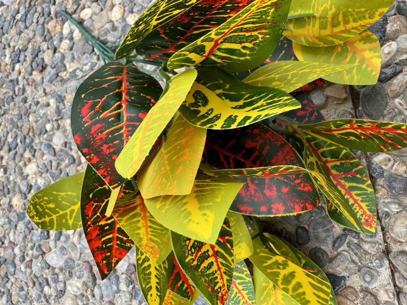 YNC-121 Kraton Yapay Bitki – 35 cm