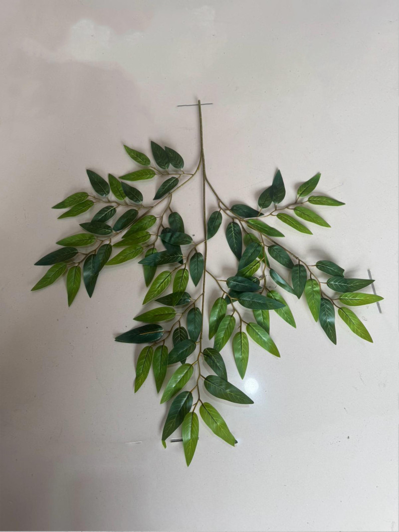 YNC-103 Ficus Yaprak