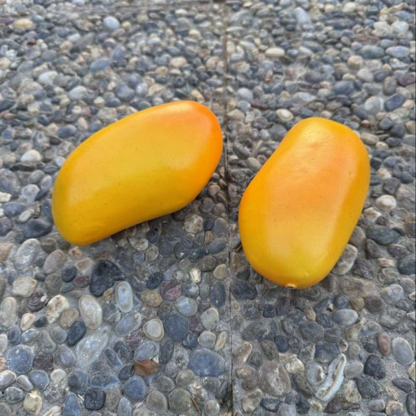 YNC-093 YAPAY MEYVE MANGO